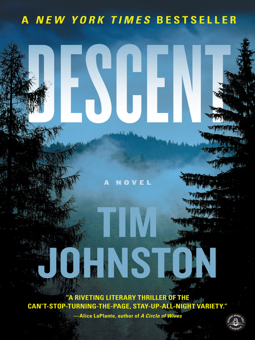 Title details for Descent by Tim Johnston - Available